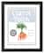 Carrot Patch Sign 5 16" x 20" Black Framed Print Under Plexiglass
